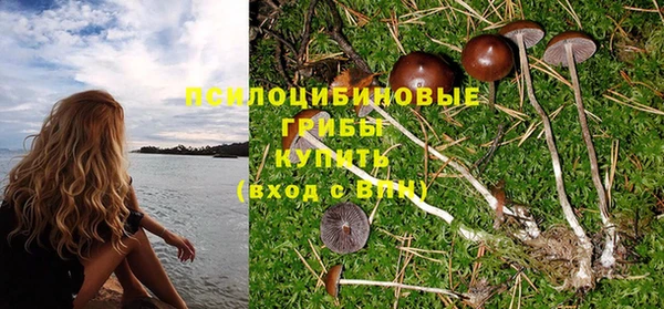 jwh Новозыбков
