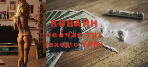ECSTASY Ельня