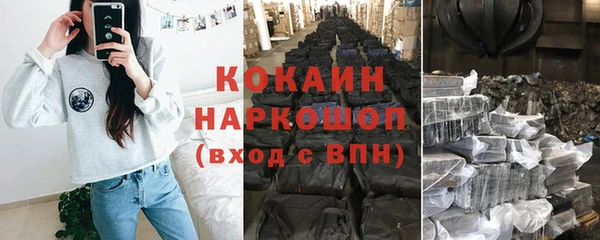 индика Дмитровск