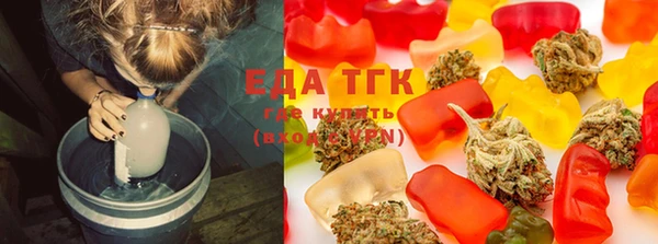индика Дмитровск